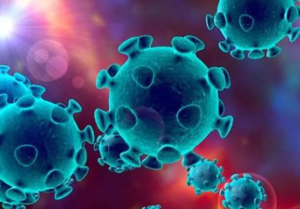 新型冠狀病毒 疫情防控應(yīng)急預(yù)案